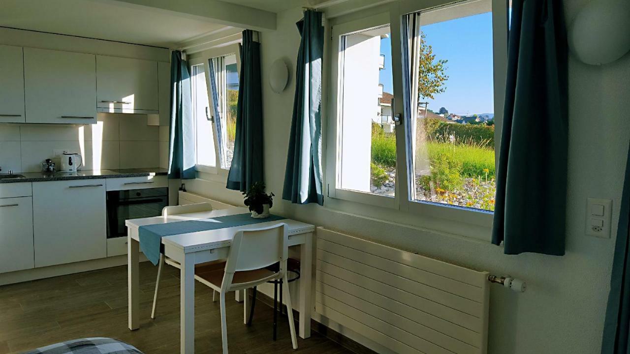 Lake View Private Studio Richterswil Exterior foto